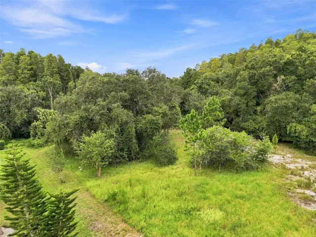 Conservation Area