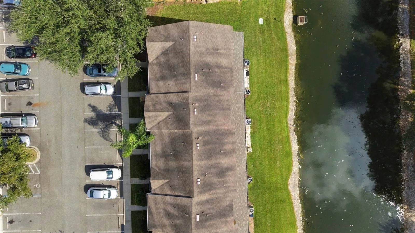 Aerial Roof (2018)