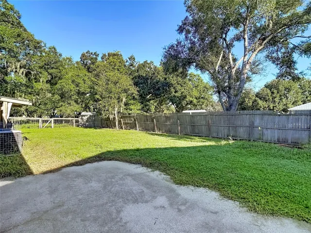 Backyard