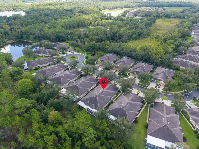 Ariel view