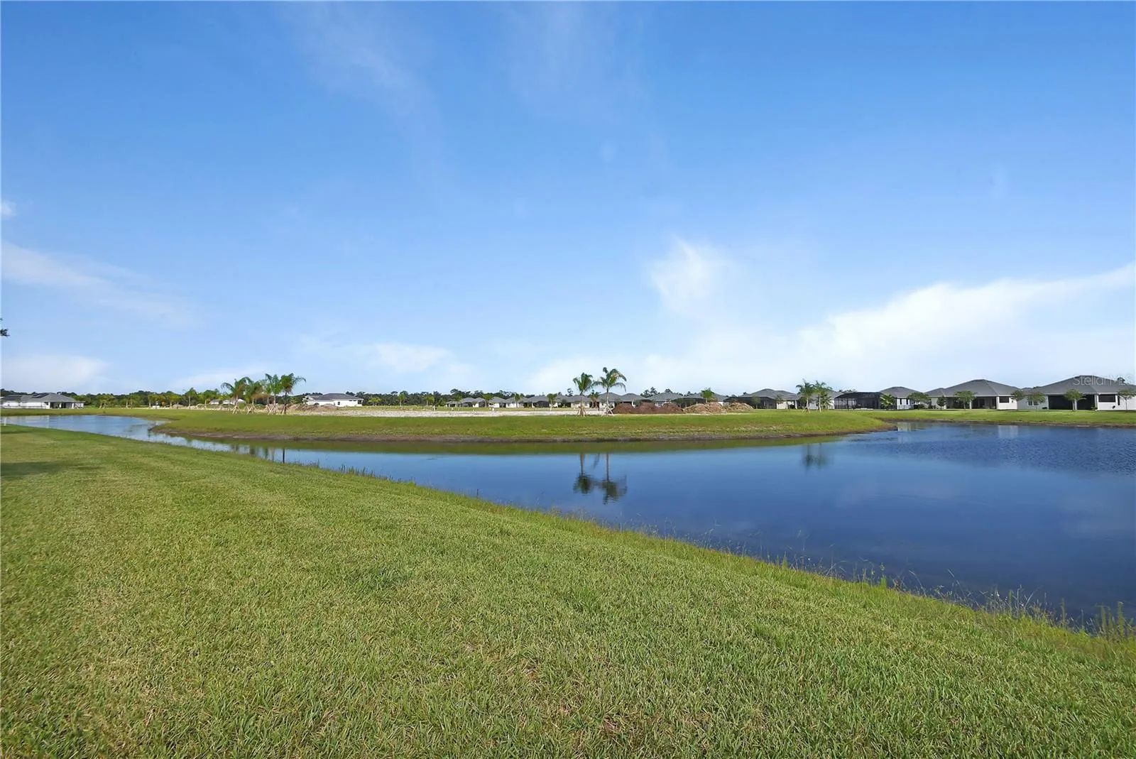 Pond in back yard