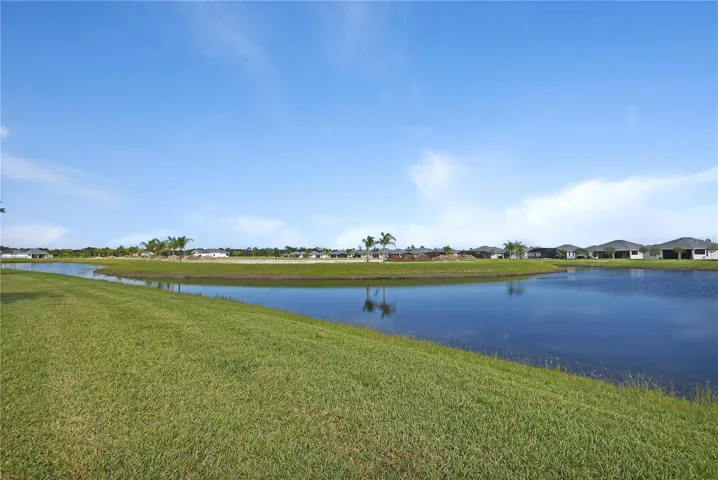 Pond in back yard