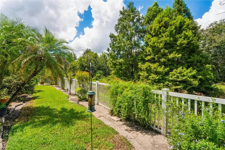 Fenced backyard