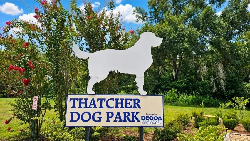 Huge Dog Park with rolling hills for added fun