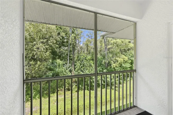 Screened lanai with private wooded view