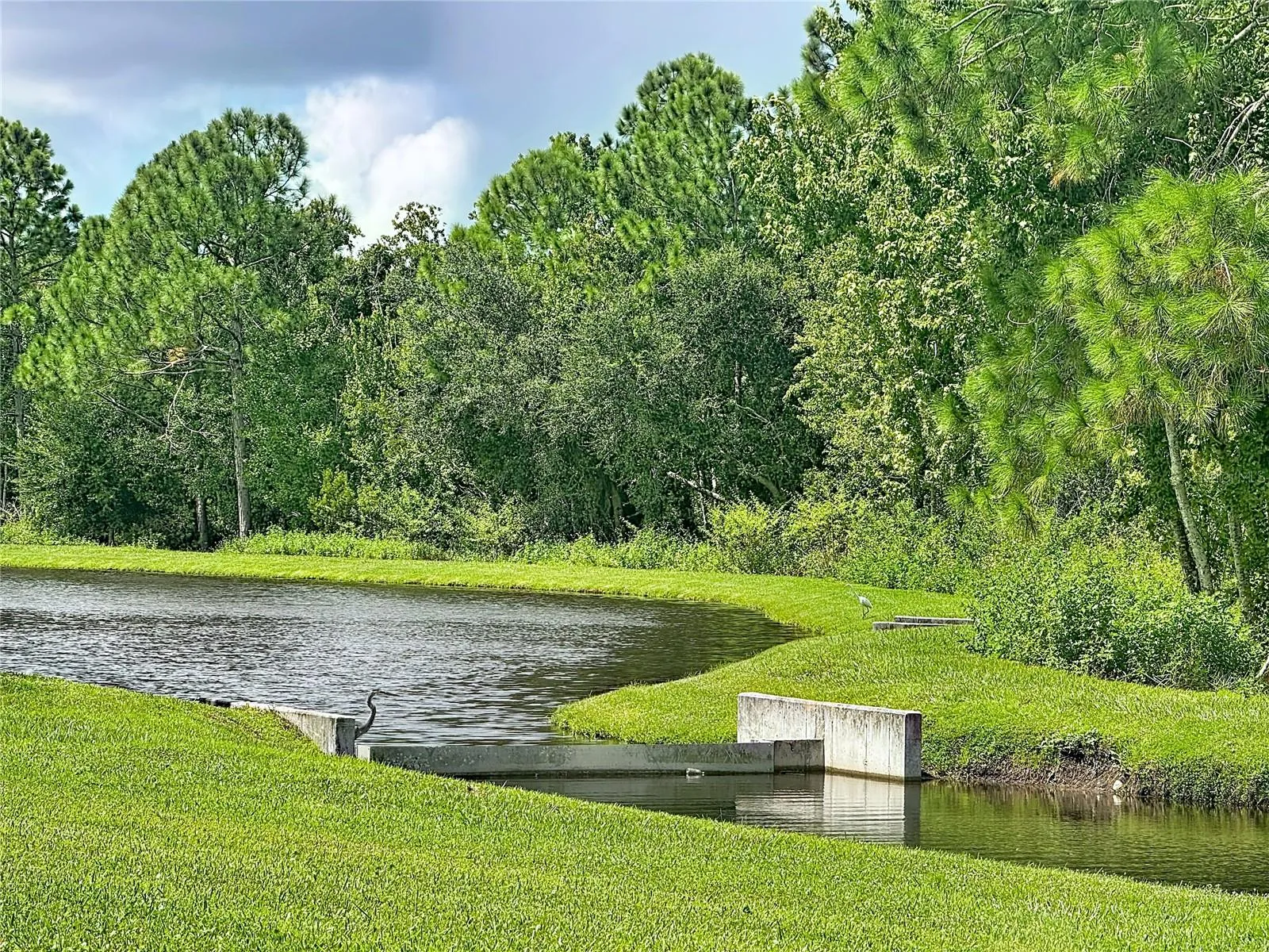Bird Sanctuary right out back