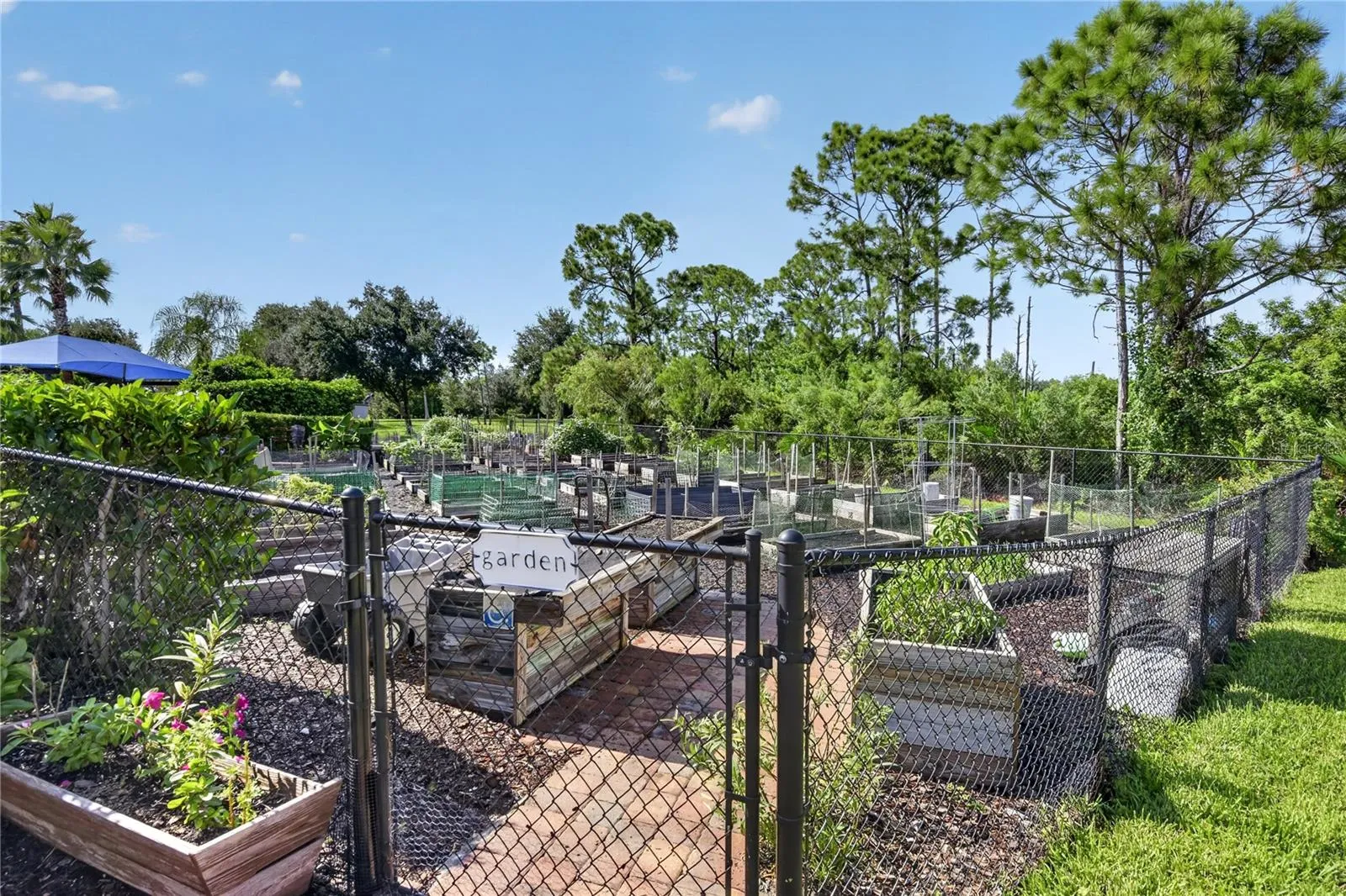 Garden