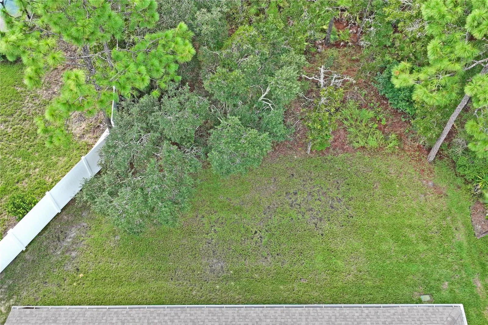 back yard showing green belt behind