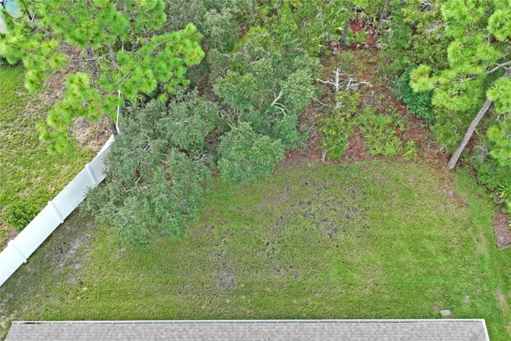 back yard showing green belt behind