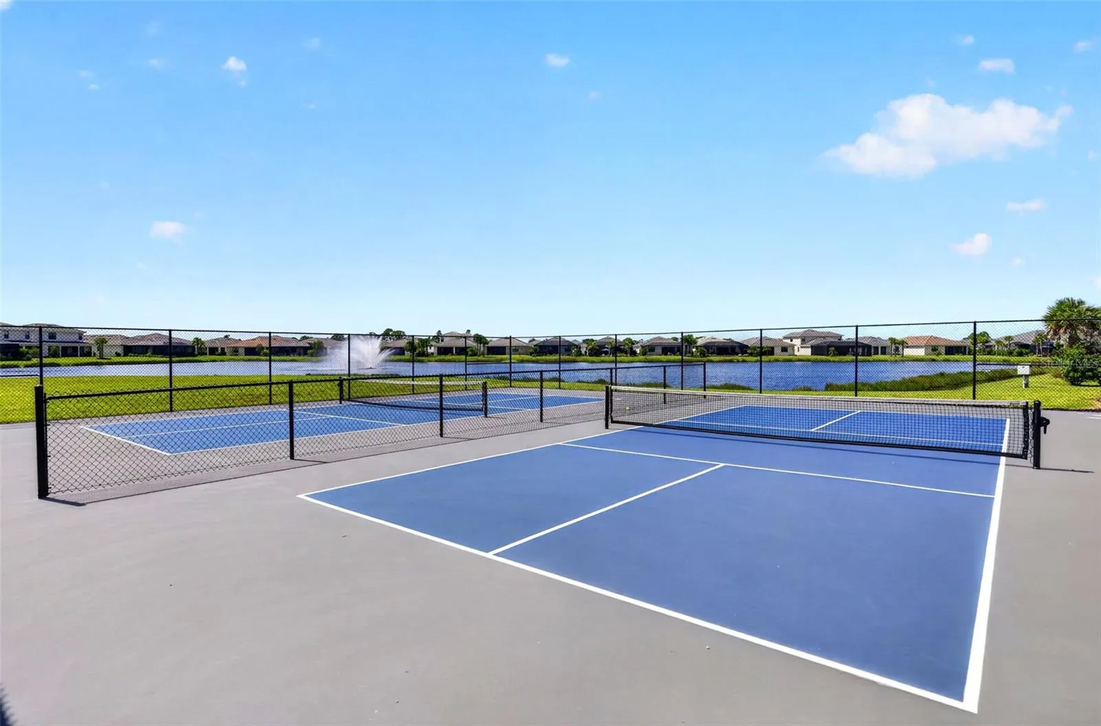 Pickle Ball