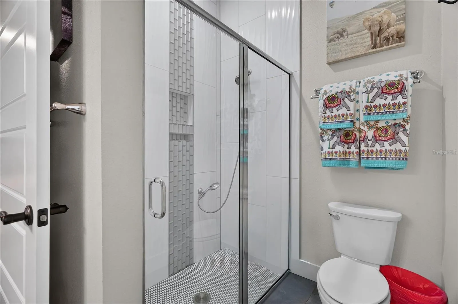 Walkin Shower with pool access