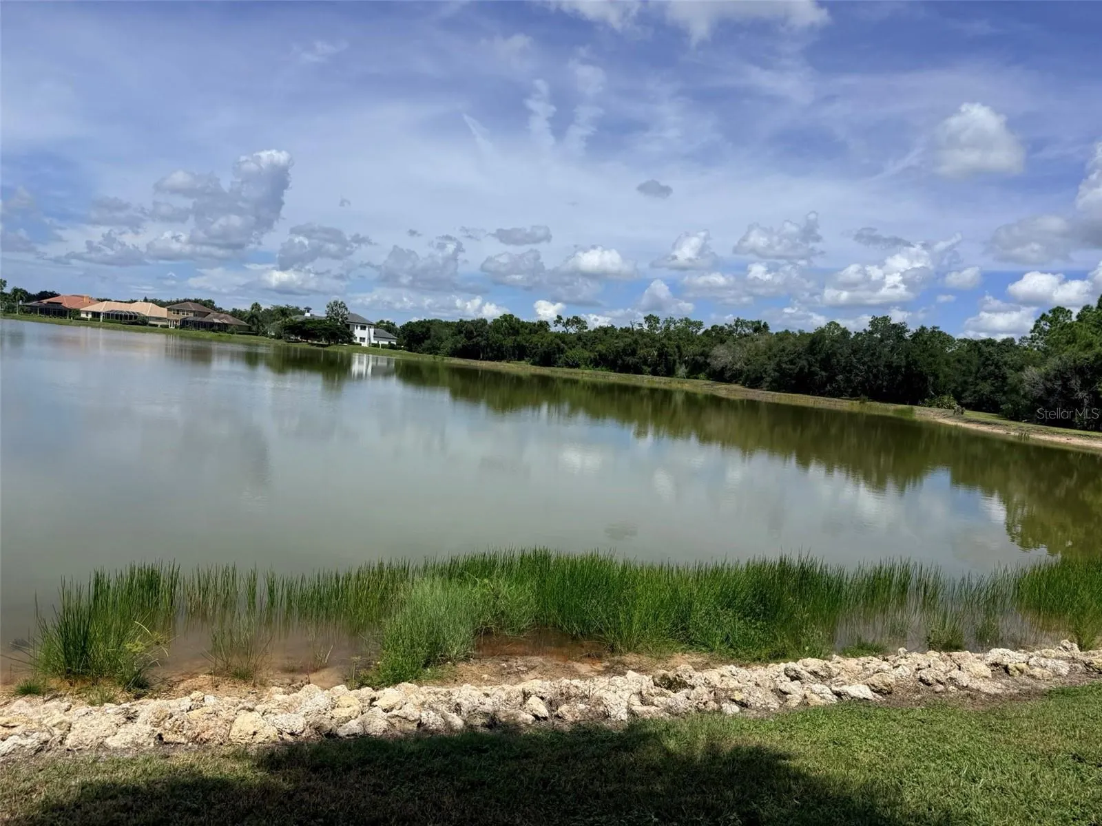 Lake view