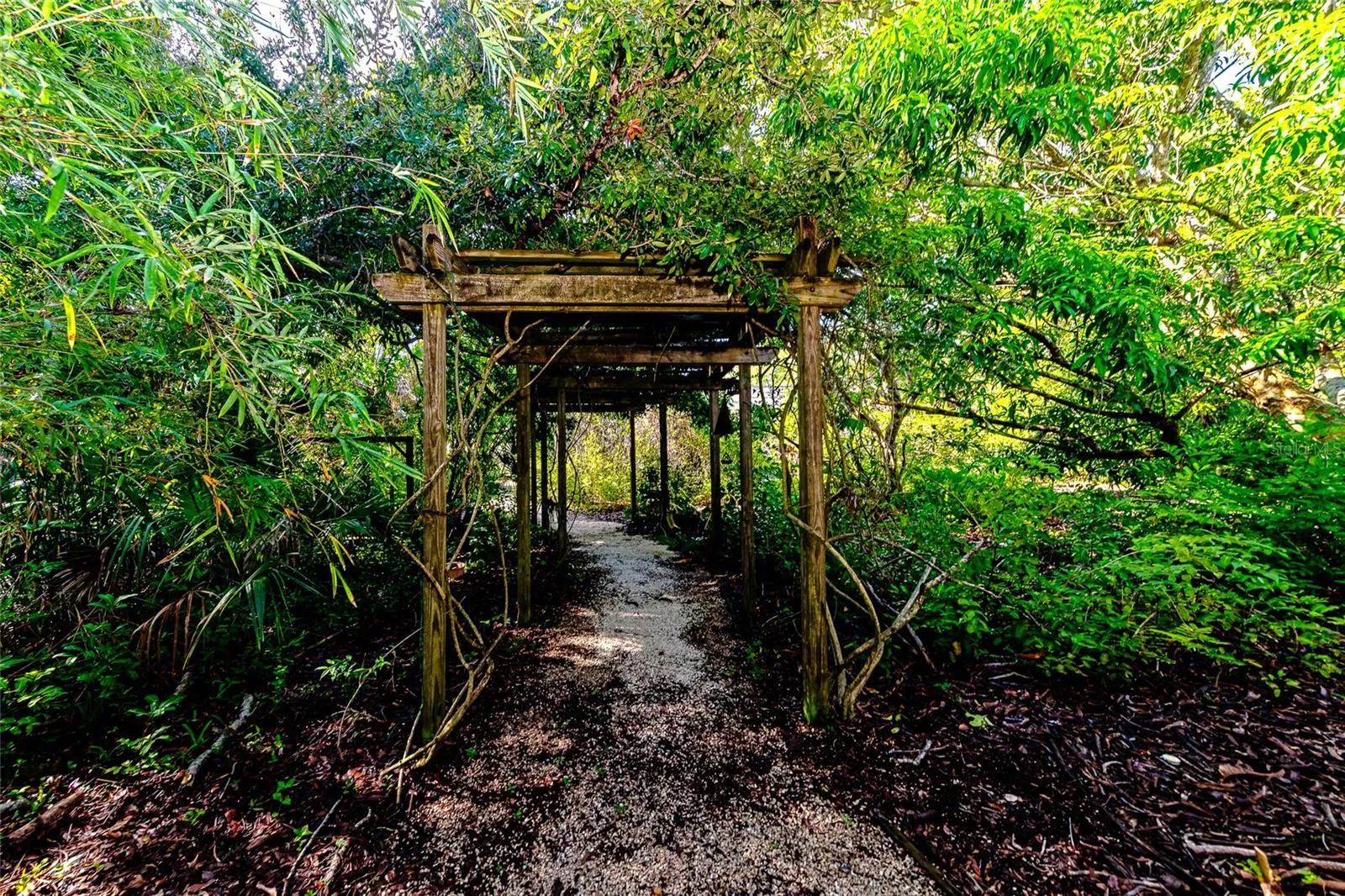 Nature Oasis