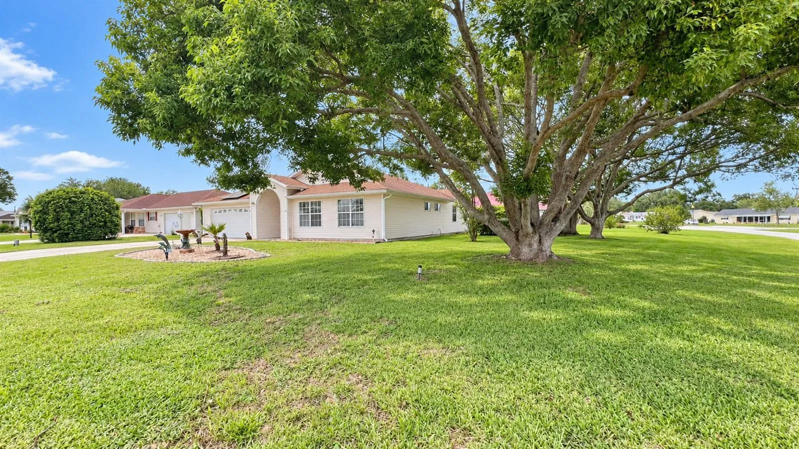 Large corner lot with gorgeous old growth tree.
