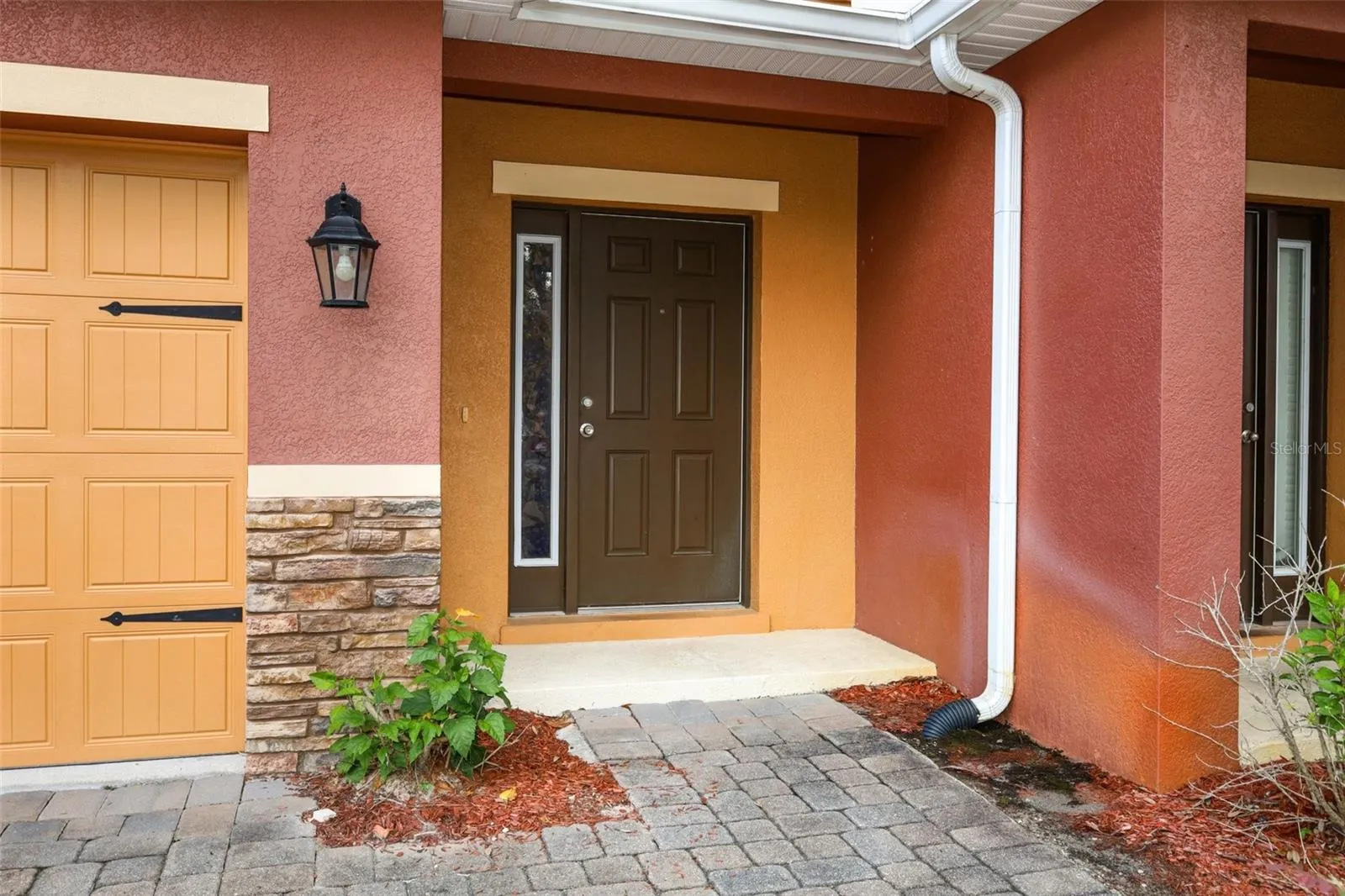 Front Area