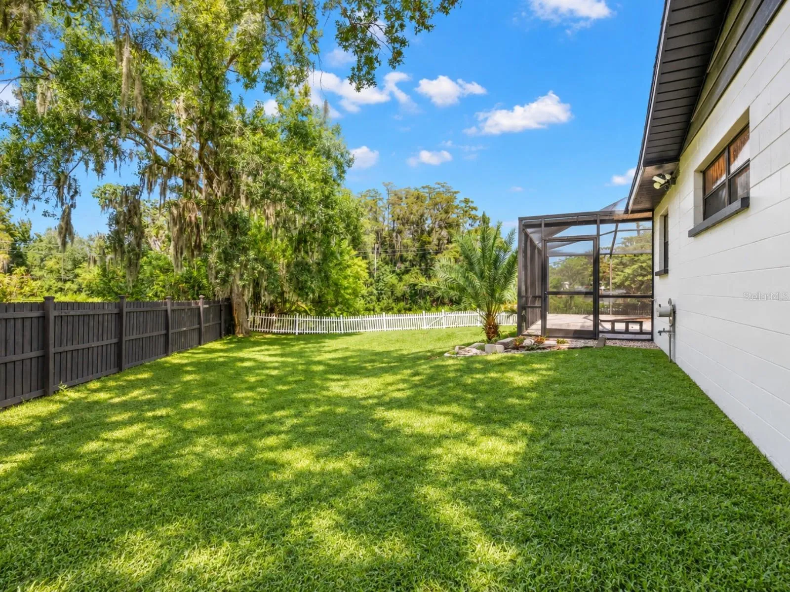 Spacious Backyard!