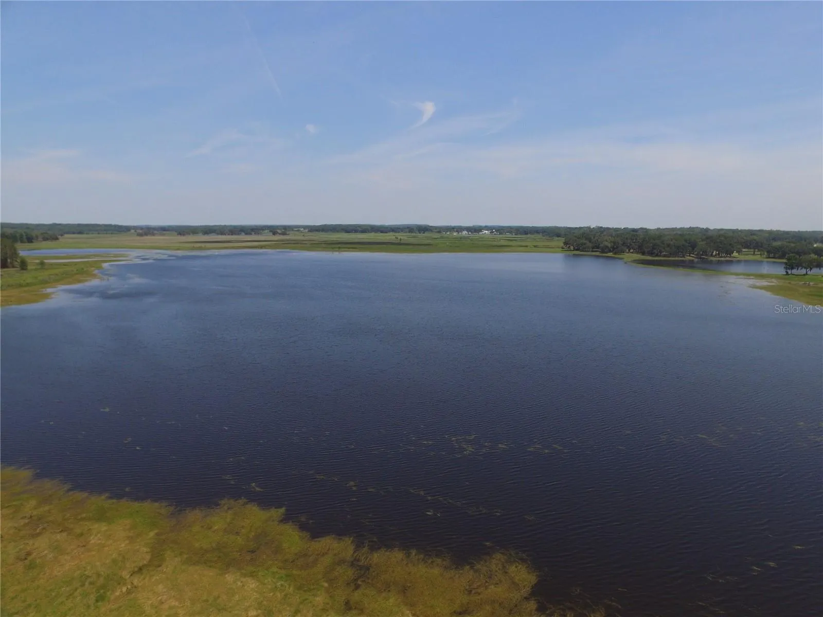 Buddy Lake