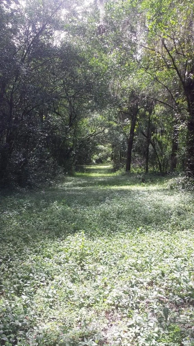 hiking trails