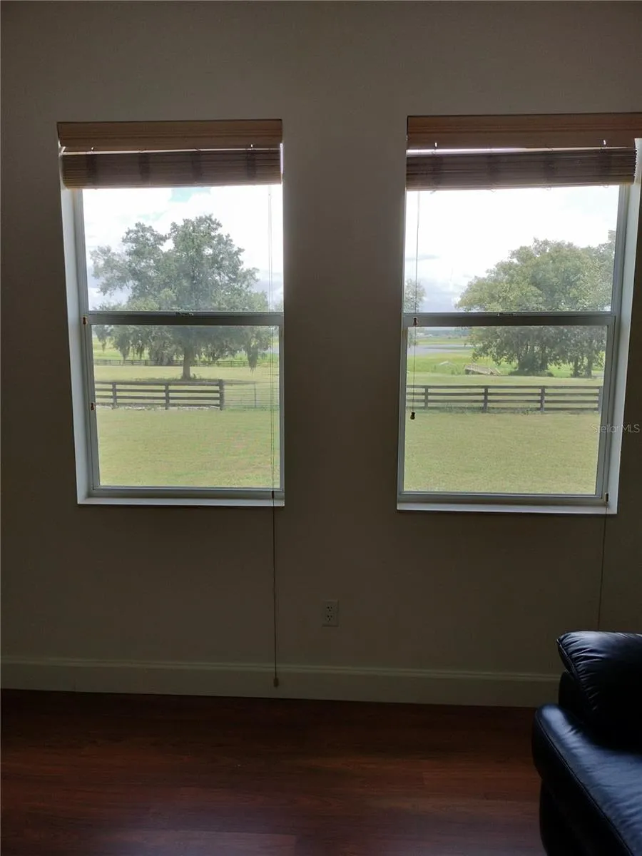 Home Theater view to Buddy Lake