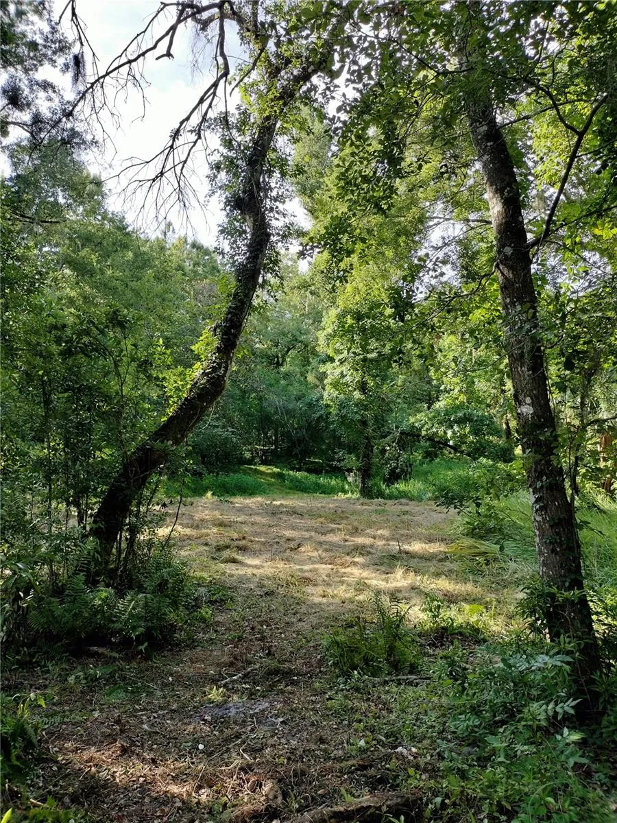 hiking trails