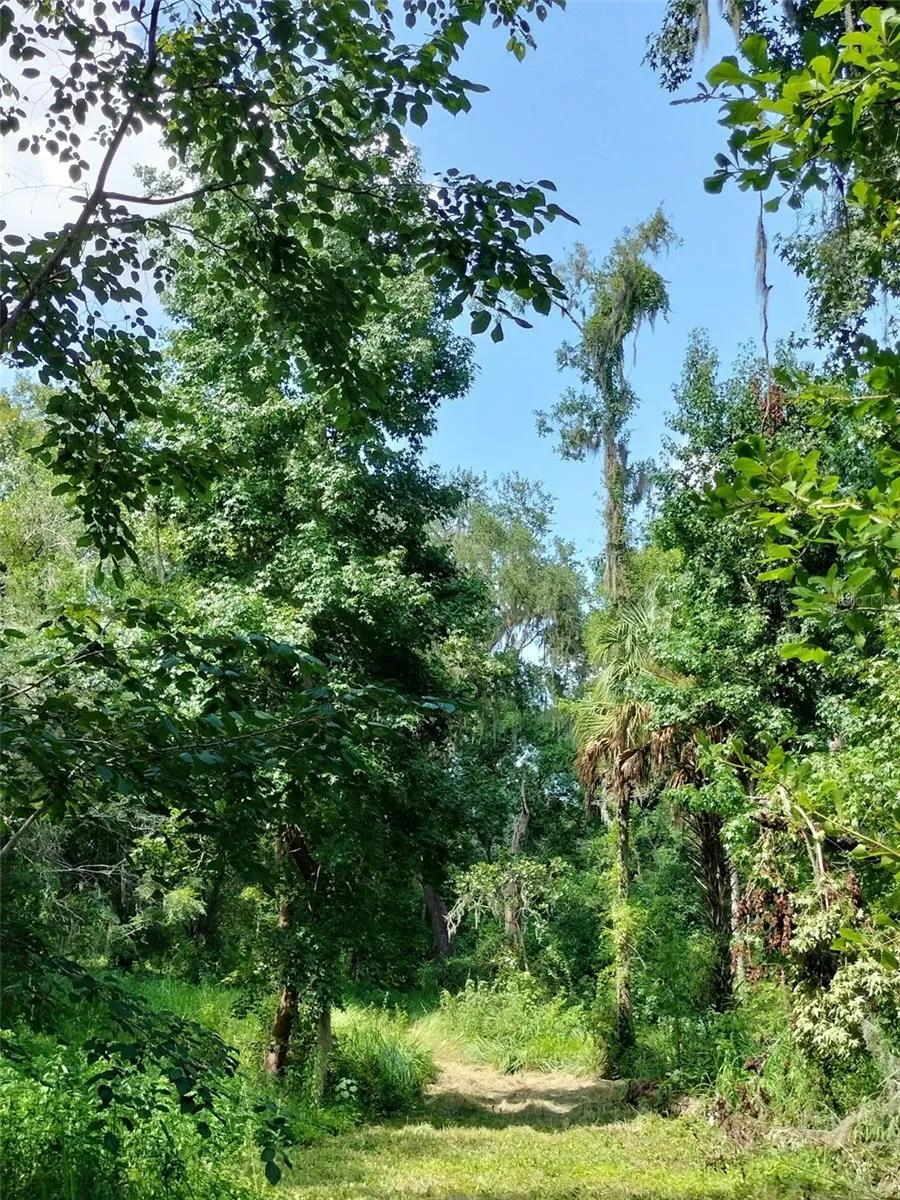 hiking trails and wooded area with creek