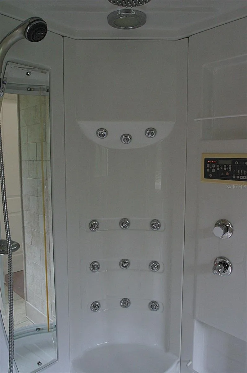 Master Bathroom Massage Steam Shower Panel