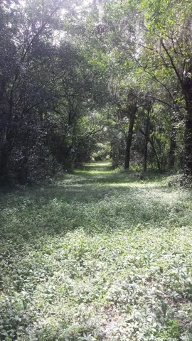 hiking trails