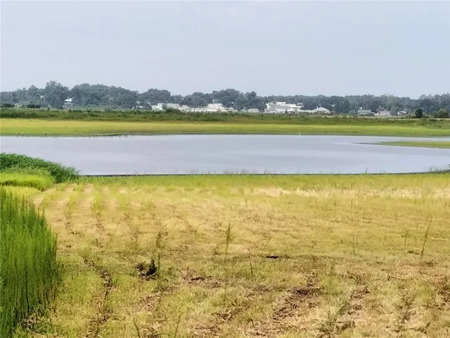 Buddy Lake
