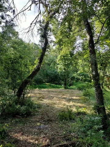 hiking trails