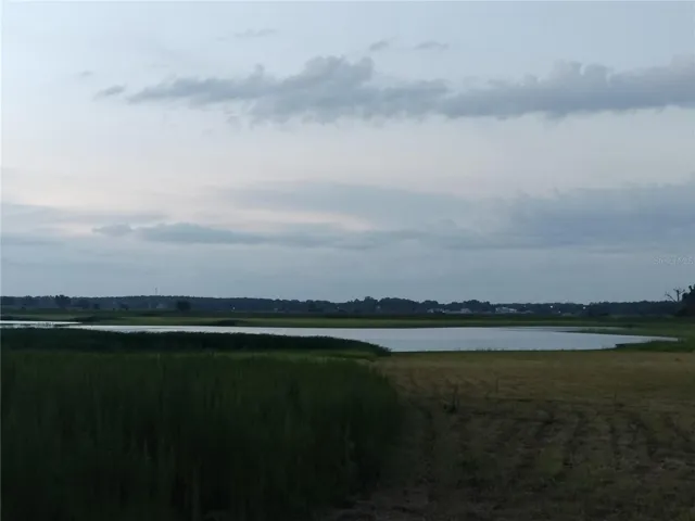 Buddy Lake