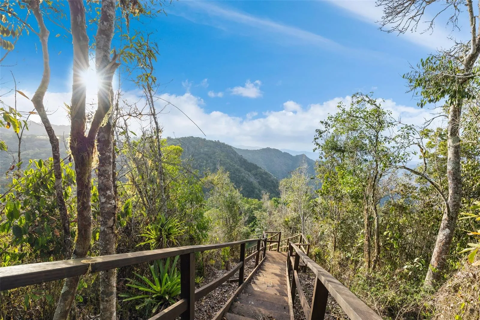 Stairway to the Estate's Highest Viewing at Point - Cayey