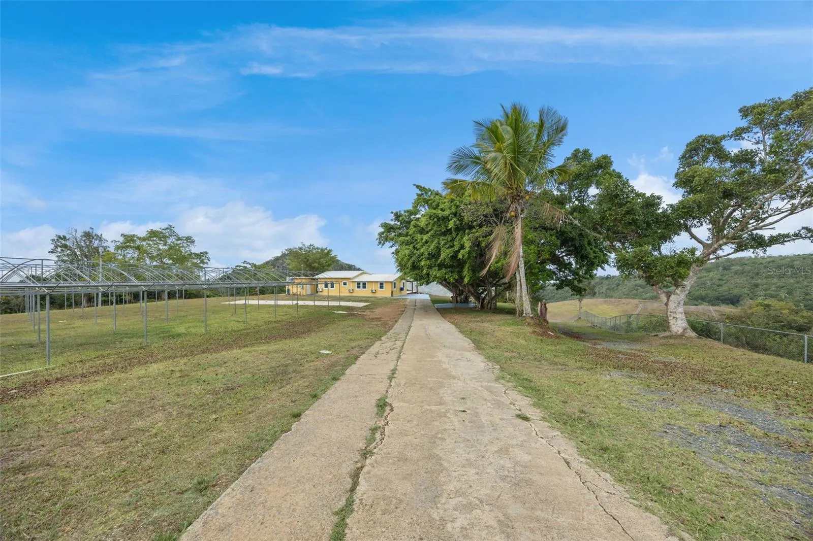 Paved Entrance Road Inside the Estate - Cayey