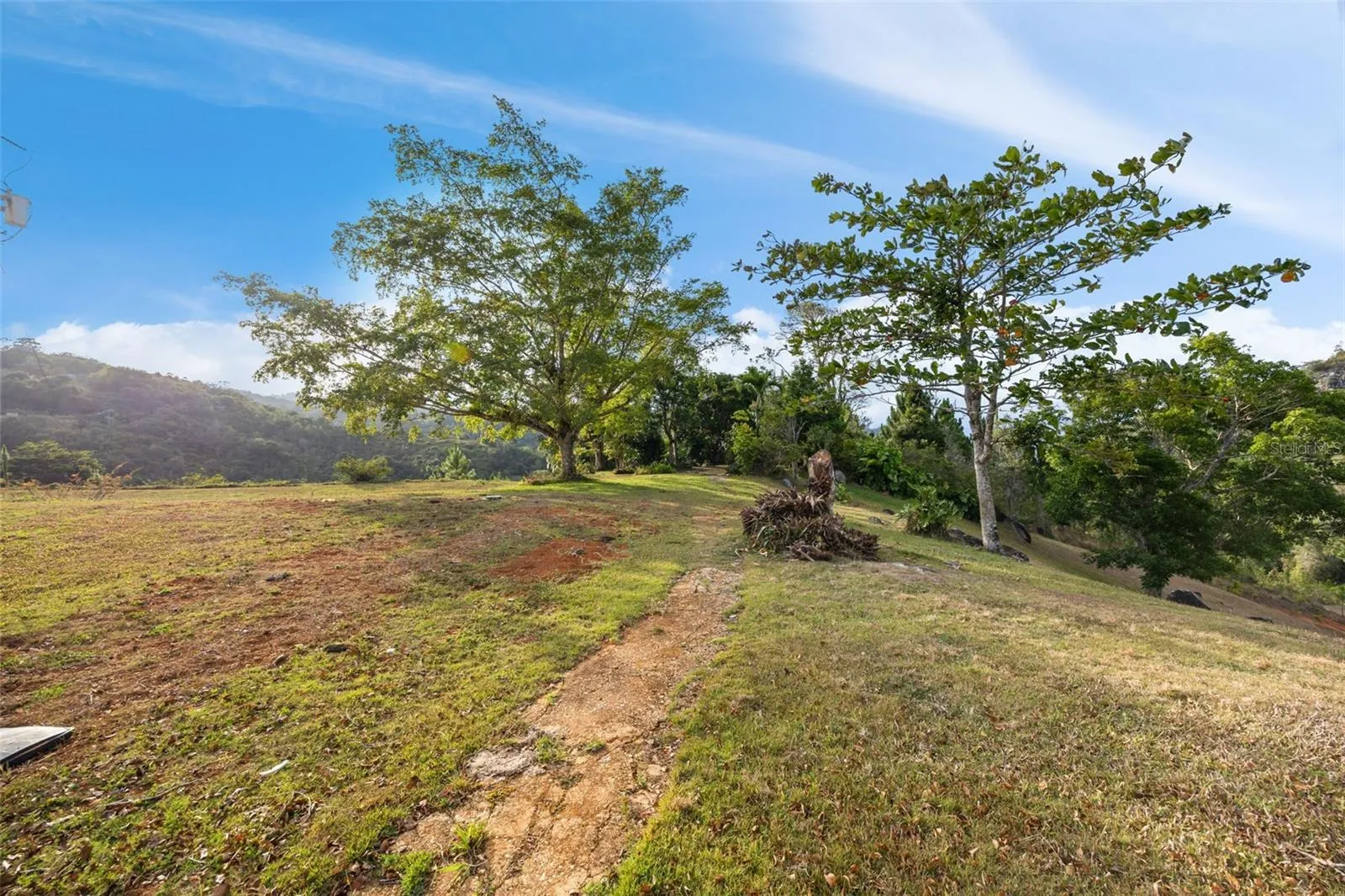 Luxury Private Mountain Estate - Cayey