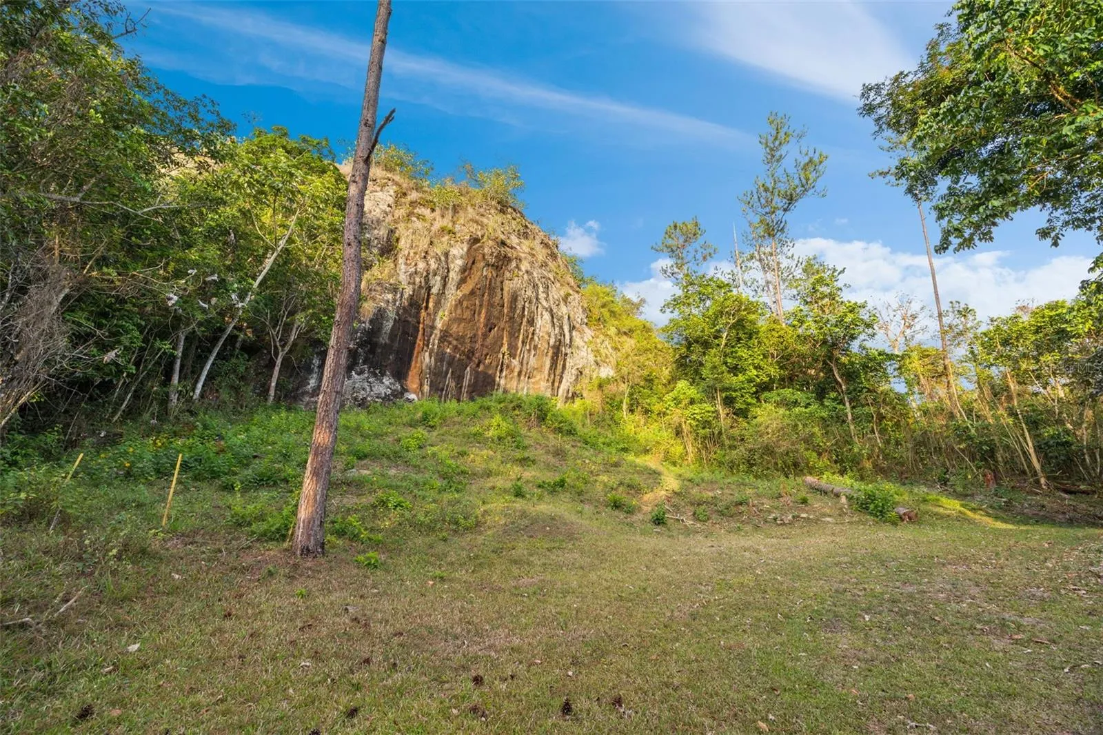 Private Mountain Estate Hiking Trail - Cayey