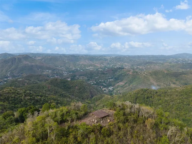 Private Estate Viewing Point with Panoramic Mountain and Valley Views - Cayey