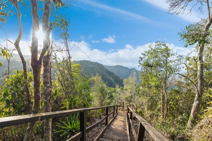 Stairway to the Estate's Highest Viewing at Point - Cayey
