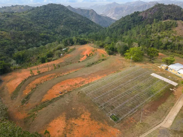 Aerial View of Leveled Land with Former Hydroponic Growing Frame - Cayey