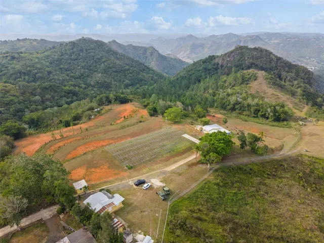 Aerial View of Guest House, Guard House and Main Residencem- Cayey