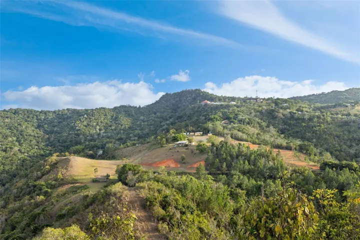 Expansive Mountain Landscape and Estate Views - Cayey