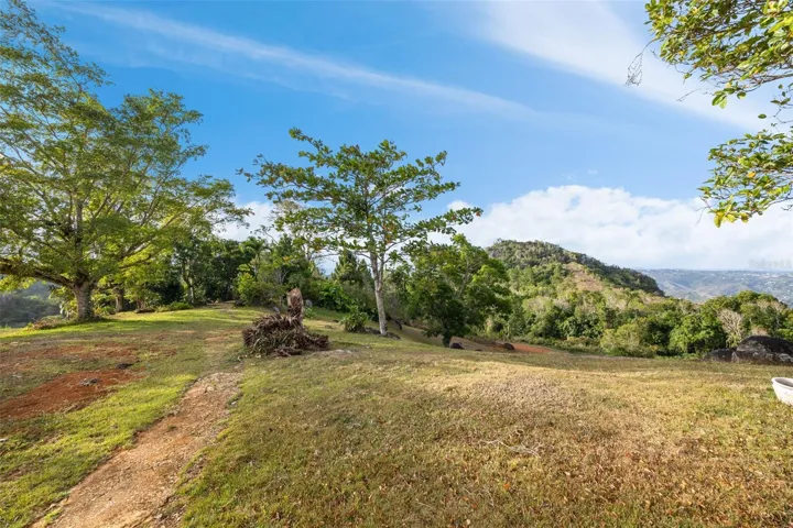 Expansive Open Grounds with Mature Trees and Mountain Views - Cayey