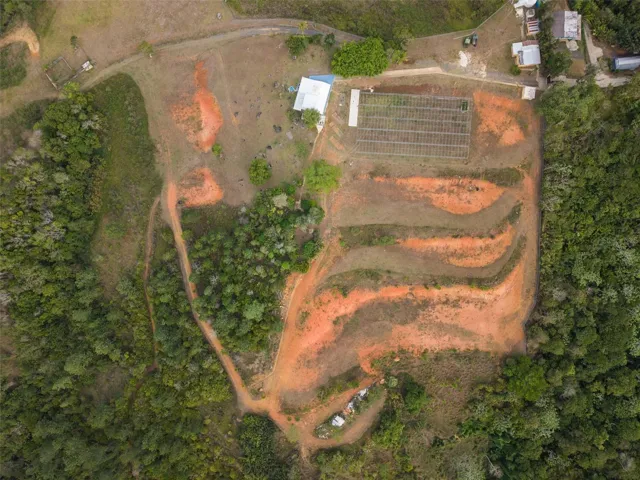 Aerial View of Leveled Land - Cayey