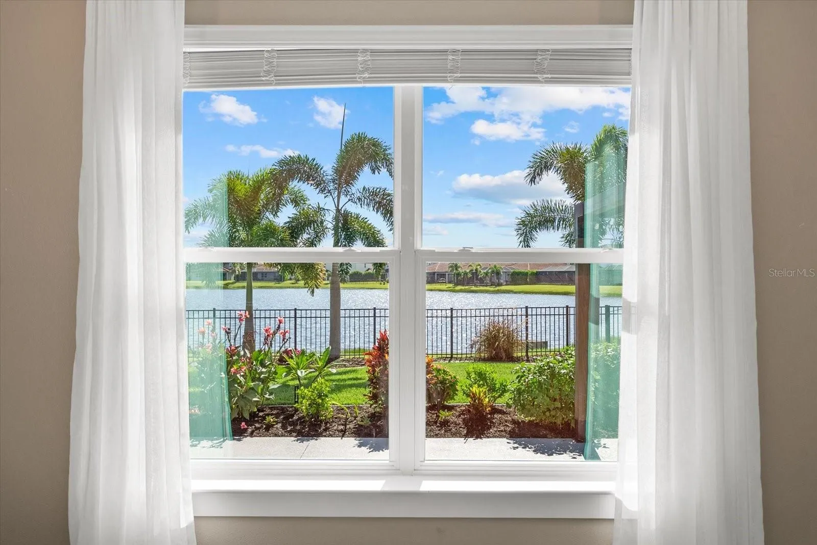 View from dining room