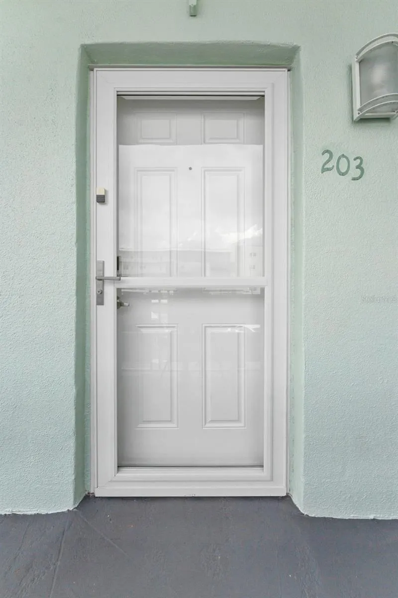 New storm door- along with your new windows, your insurance will be so reasonable!