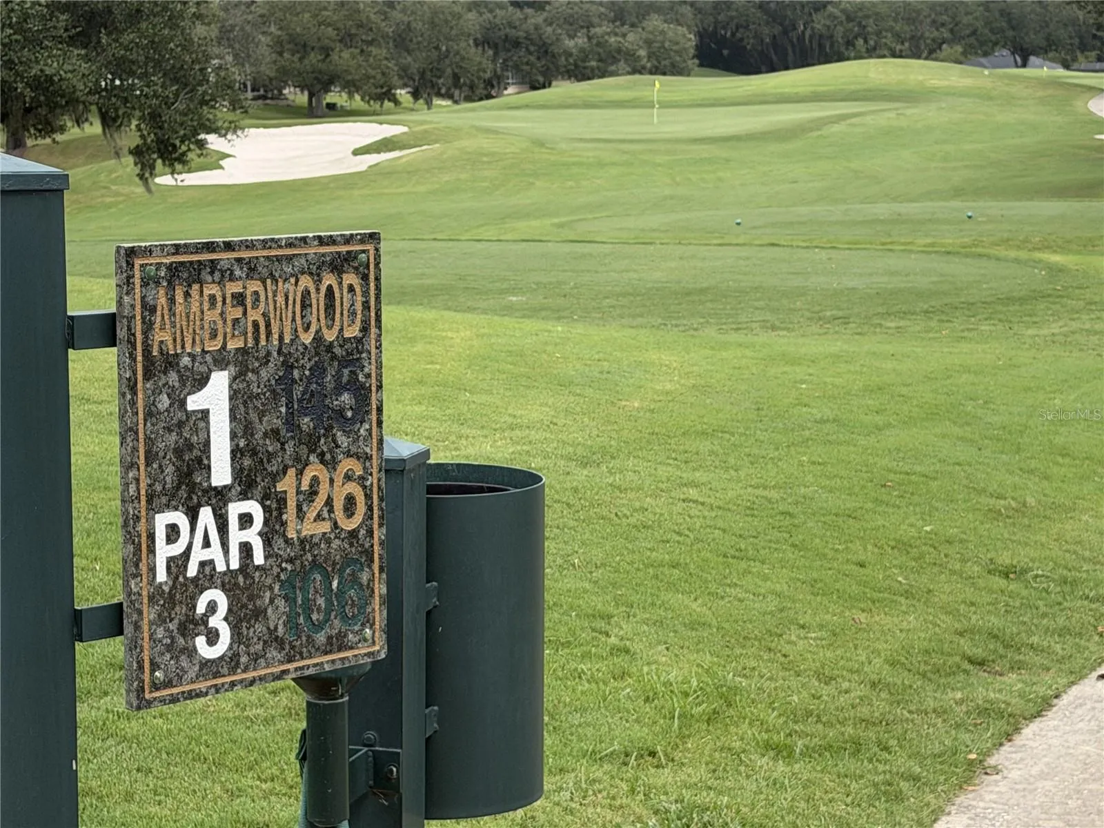 Amberwood 1