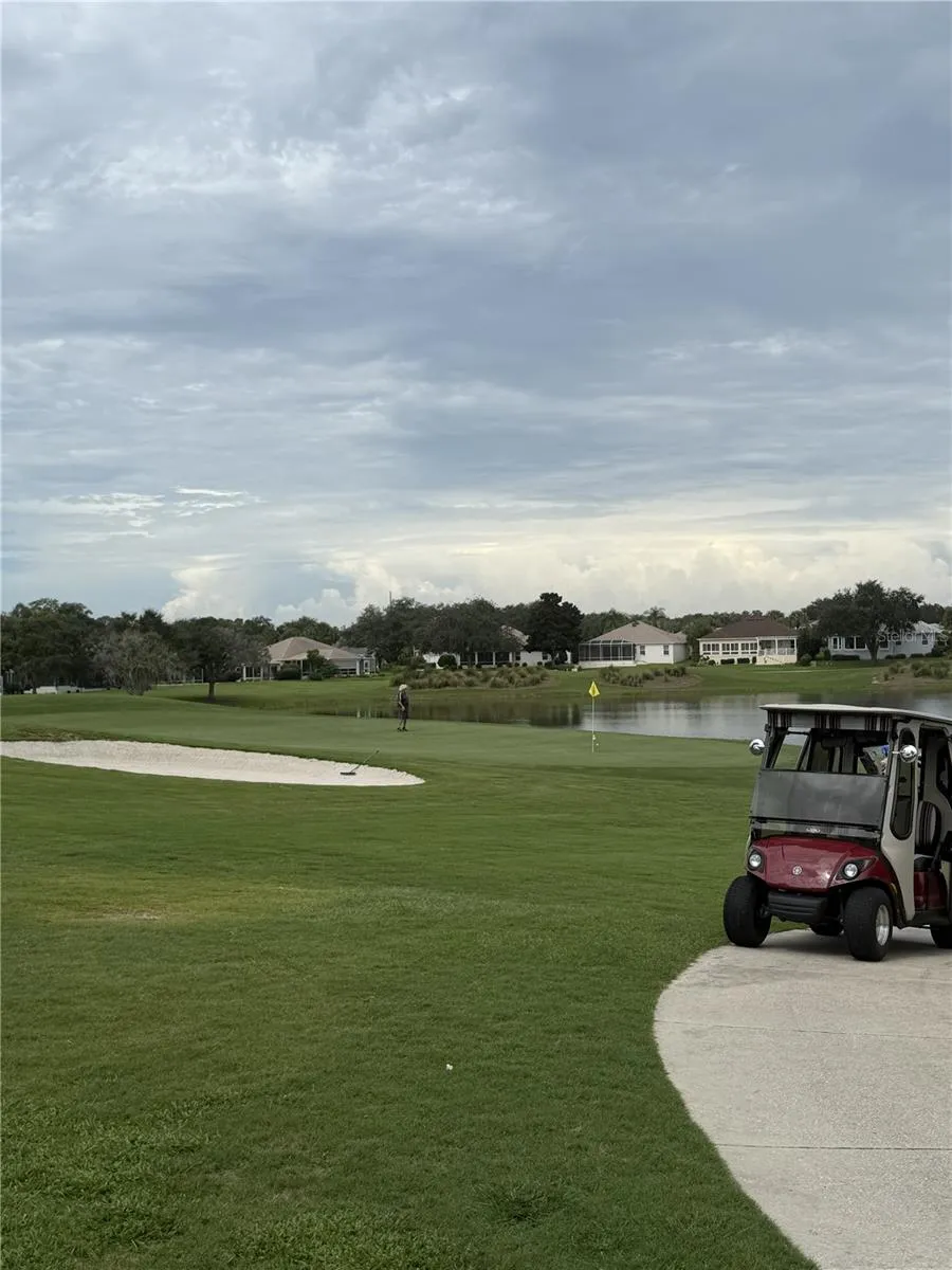 Amberwood 9