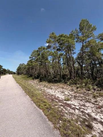 Wide Angle Shot