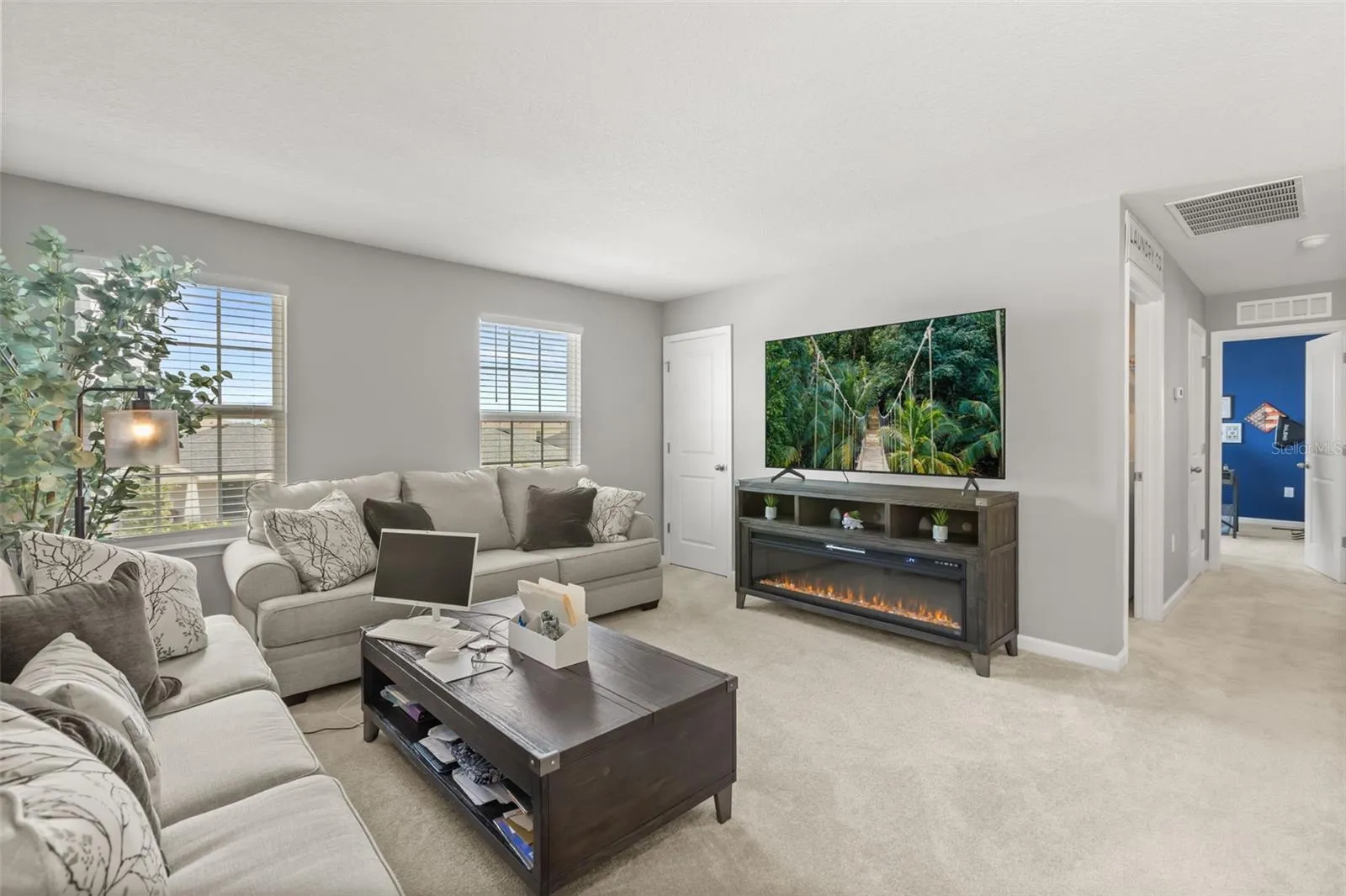Loft area at second floor, door to walk-in closet, hallway to laundry, 2nd &amp; 3rd bedrooms.