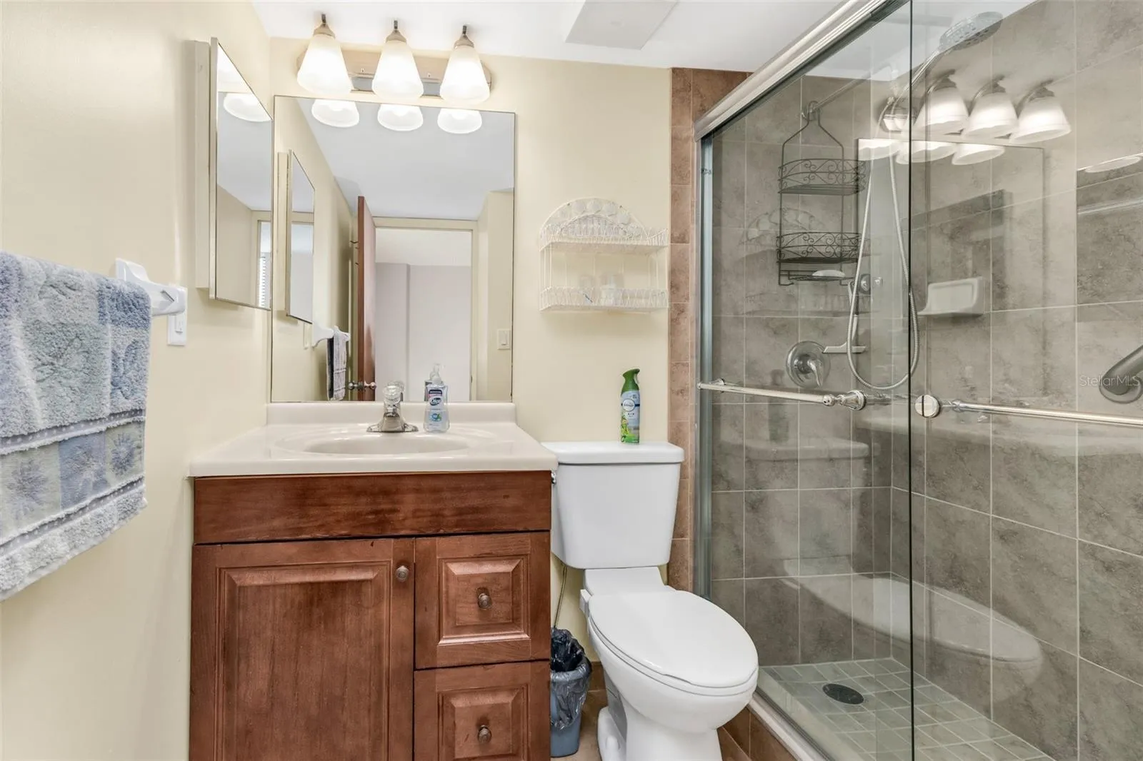 Primary en-suite bathroom