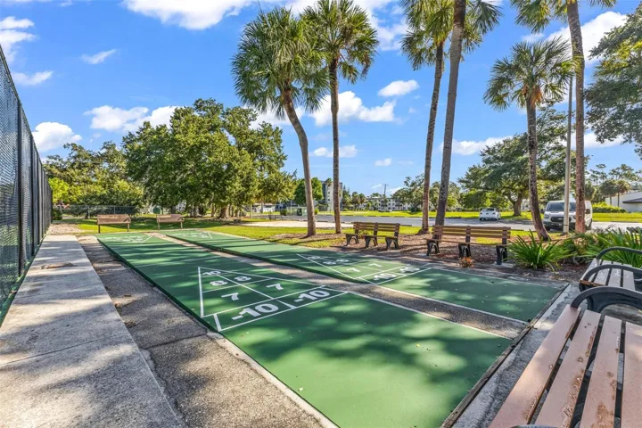 Shuffle board courts