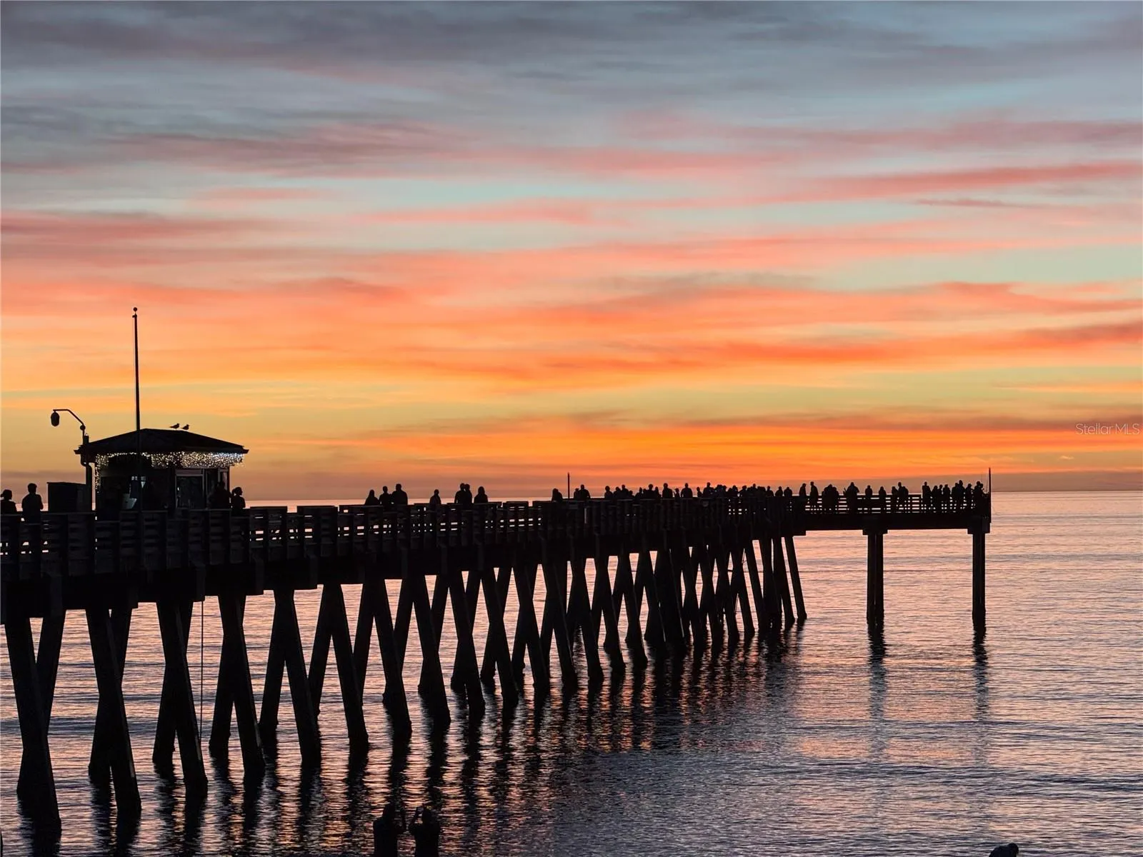 Venice Fishing Pier by Sharkey's
